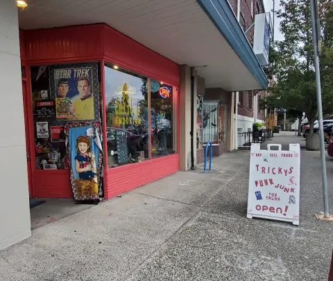 Miss Tricky's Pop Culture Emporium