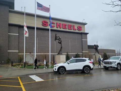 Scheels